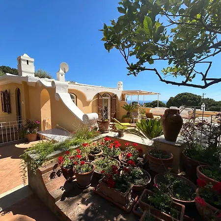 Private Sea View Con Terrazza E Giardino דירה קאפרי